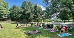 Saturday morning yoga at the vineyard 1